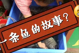 罗非鱼之乡-茂名，原来当地人蒸鱼还有这种做法，味道怎么样呢？