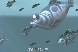 光头强你以为我们是吓大的吗，拿你那根破鱼竿当枪呢，找打视频封面