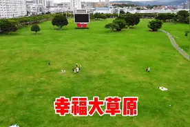 位于市区的大草原，云南旅游千万不能错过，生活在这里超有幸福感视频封面