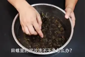 田螺太脏难清洗？教你一个土方法，田螺里的泥沙吐得又快又干净