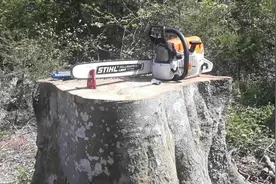 电锯磨损不锋利了怎么办？师傅教你这样磨才锋利，好多人都不知道视频封面