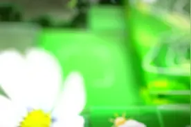 江西持续干燥少雨 注意防火视频封面