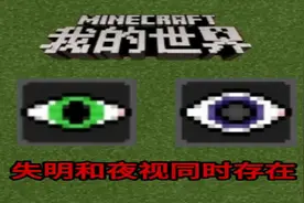 我的世界：失明和夜视同时存在