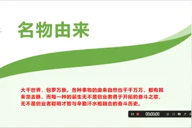 和平鸽的由来视频封面