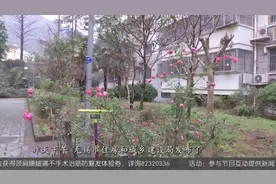 重磅！无锡安置房经适房土地出让金新标准公布视频封面