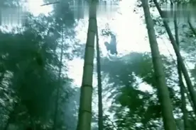 《十面埋伏》局中局套中套，爱情与欲望的交织，剪不断理还乱