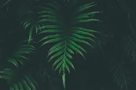 上个网却被广告追踪？看我怎么禁止它！