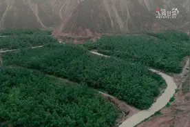 飞“阅”白银:金花绽放田园美图片