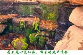 散文朗读-若不是心宽似海，哪来的风平浪静视频封面