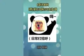 喜大普奔，全国拟禁食猫狗，一起反馈让猫狗再也不会变成盘中餐视频封面