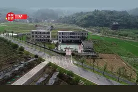 独家视频丨习近平：希望孩子们都能长成中华民族的参天大树图片