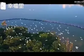#幸福里最美小区推荐 【美的鹭湖】王者传奇，神盘载誉归来！再续神话传奇！！
[强]温泉度假⛱️汽车营地☀️高尔图片
