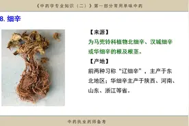 8细辛不过钱，不宜与藜芦同用，注意不犯十八反应用不过量