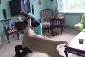 宠物狮子突然对人发起攻击，直接扑倒在地，镜头拍下全过程视频封面