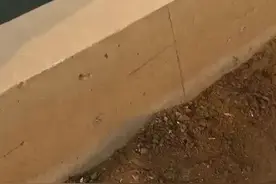 别买市场欢实的虾，药水泡的，喂药的哈！懂虾的都买汪子的视频封面