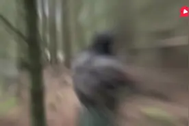 这才叫真人野战CS，装备齐全，MG24机枪都用上了视频封面