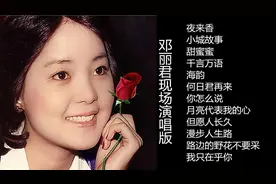 怀念邓丽君：邓丽君十二大经典歌曲现场演唱专辑视频封面