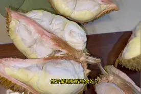 蚂蚁爱吃榴莲吗？它们竟然？！#神奇动物在抖音 #动物世界 #榴莲