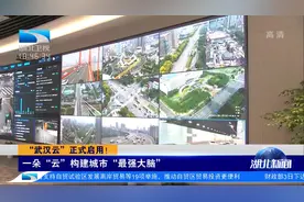 构建城市“最强大脑”！“武汉云”正式启用视频封面