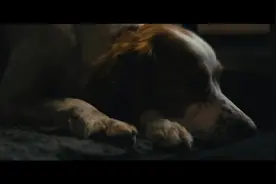 Thule SUV车载狗笼#遛狗神器视频封面