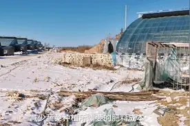 东北地区利用蔬菜大棚养殖万只白鹅生态微循环致富新模式视频封面