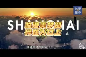 临港2025年75万人口目标，难实现 临港2035年250万人口目标视频封面
