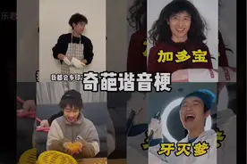 盘点那些奇葩谐音梗搞笑视频原素材来源于