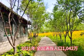 清朝入关之前满族有多少人，汉族有多少人视频封面