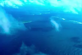 保护生物多样性，尊重并保护自然 #大自然视频封面