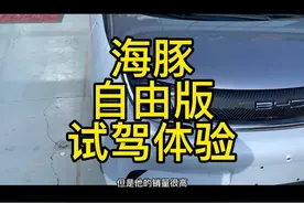 试驾#比亚迪海豚 自由版400续航 #每天一辆代步车 #比亚迪视频封面