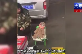 震惊！辽宁沈阳一卖鱼摊贩上惊现猫少爷卖鱼视频封面