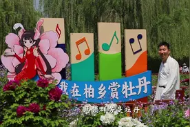 #赏牡丹到柏乡汉牡丹园 邢台柏乡2000年的汉牡丹盛放！太美了！视频封面