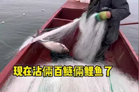 #密云水库鱼 #鱼获满满 #渔民生活实拍 300多斤！让我站一会儿！