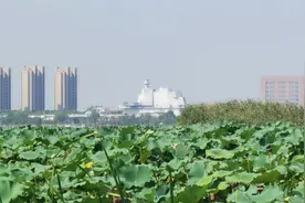 黄家湖湿地公园附近的航母楼#带你看不一样的风景