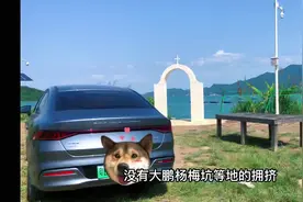 五一假期开着比亚迪秦plusDMi去野炊露营视频封面