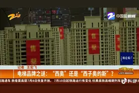 西奥电梯和西子奥的斯电梯有区别吗？销售人员干嘛卖的是西奥视频封面