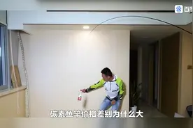 鱼竿19调好还是28调好？请看视频详细讲解！#手感好腰力足