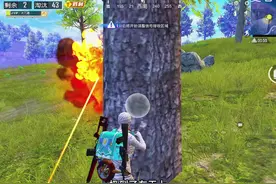 ads防雷测试 这回知道ads有啥用了吧家人们#和平精英  #刀崽