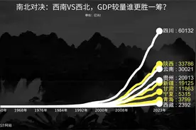 #西北 #西南 区域经济差异对比分析视频封面