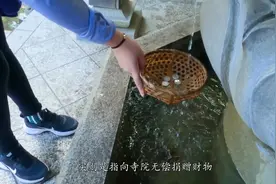 中国年糕比日本的好吃100倍
到日本寺庙还需要“洗钱”？
#日本视频封面