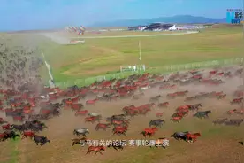 大型微纪录片《新219国道》第20集：天马之乡的马术教练视频封面