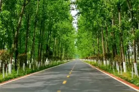 老家河南，平原自有平原的美。#最美的风景在路上 #记录家乡美景视频封面