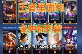 有很多小伙伴都不清楚王者里面的各种标