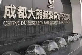 #成都大熊猫繁育研究基地 线下捐款流程攻略#熊猫 #熊猫花花