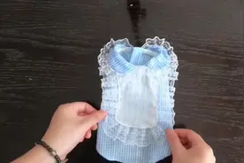 宠物娃娃衫diy手缝版教学，没有缝纫机也可以做！#宠物衣服制作