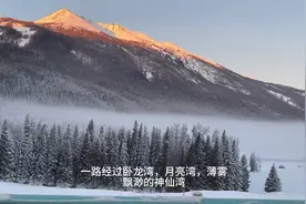 冬天的阿勒泰值得去吗？一趟到底要花多少钱？阿勒泰保姆级攻略