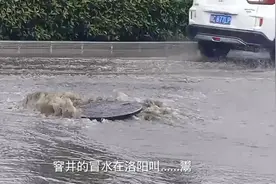 洛阳九都东路延长段又“鬻”了视频封面