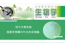 2022年兰州中考生物实验操作：观察洋葱鳞片叶内表皮组织#中考视频封面