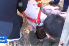 广宗：六岁男童不慎跌入十米枯井 消防火速营救#邢台 #邢台消防视频封面