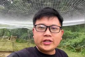 山奈炖狗肉一绝，很多人说它就是石菖蒲，今天我告诉大家如何区别